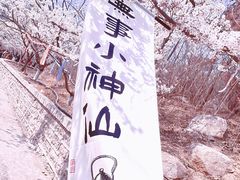 -樱花山风景区