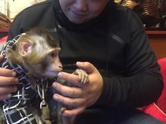 -盤古Spa泰式古法抓龙筋(鲁迅路店)