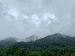 -波尔登森林公园