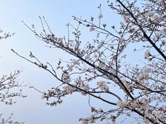-Beans Solo豆号咖啡(百家湖花园店)