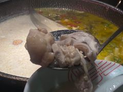 -捞王猪肚鸡火锅(金华义乌之心店)