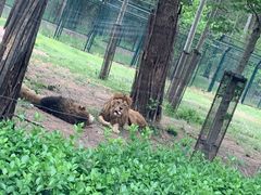 -秦皇岛野生动物园