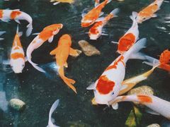-绿房子方寸咖啡(星海名城店)