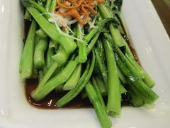 虫草花菜心-春满园·邯郸菜发祥地(滏东店)