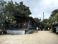 -紫金山山顶公园