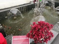 -上海戏剧学院附属高级中学