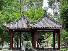 -温江公园