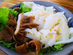 双色百叶-东镇老火锅(长春路首店)