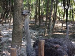 iphone_upload_pic-昆山城市生态森林公园