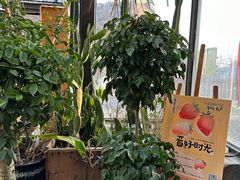 -北马山庄植趣咖啡