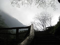 -西岭雪山大飞水景区