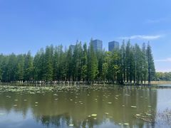 -艾溪湖湿地公园