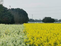 -中国天府农业博览园