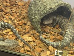 -昆明大悦城未来动物城(螺蛳湾中心店)
