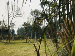 -夏河溪乡野公园