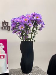 -YESIDO椰岛造型