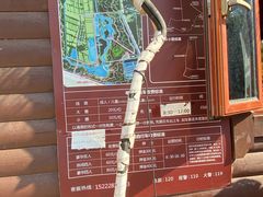 -西青郊野公园