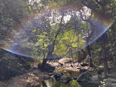 -梧桐山风景名胜区