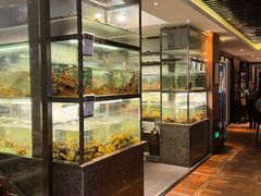 -甄御•海鲜新青岛菜(麦岛店)