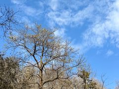 -敬亭山风景名胜区