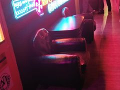 -Moss7Club 剧本杀桌游(inspark店)