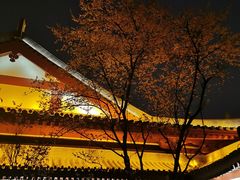 -唐御宴•御宴宫•唐代菜点(芙蓉西路店)