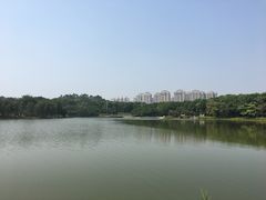 -东莞植物园