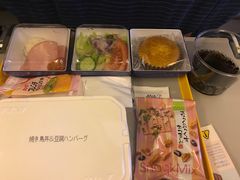 -全日本空输株式会社(上海办事处)