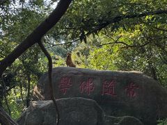 -灵岩山风景区