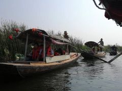 -白洋淀景区