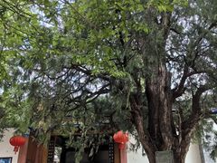 -抚仙湖禄充风景区