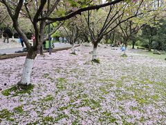 -苏州河梦清园环保主题公园