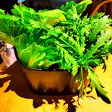 鲜入唯煮:京城港式火锅缔造者