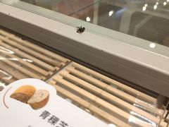 -BreadTalk面包新语·烘焙蛋糕(领展购物广场店)