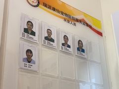 -瑞派康怡24h宠物医院·犬猫医疗中心·微创绝育(瑞景分院)