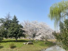 -堤角公园