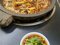 -秦巴石锅鱼(文化南路店)