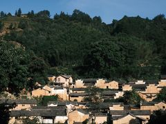 -杨家堂村