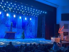 -南风大剧院莎梦二人转剧场