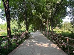 -洛阳市隋唐城遗址植物园