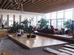 -Seesaw Coffee(朝阳大悦城店)