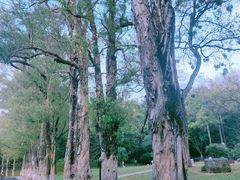 -广州市白云山风景名胜区