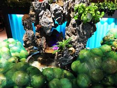 -东椰·海南椰子鸡火锅(朝阳门店)