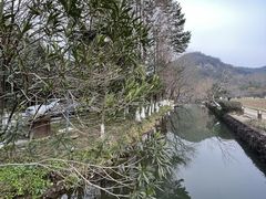 -八卦田遗址公园