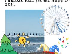 -日照海滨国家森林公园