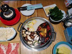-青瓷火锅料理(西单大悦城店)