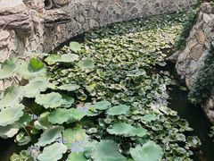 -莲池书院博物馆