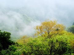 -终南山南五台景区