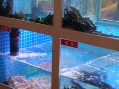 -石锅苗苗鱼(武汉首店)