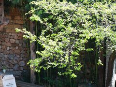 -田德能咖啡博物馆